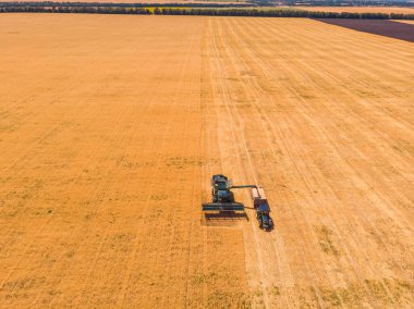 Hasat makinelerinin hava görüntüsü ekili tarlada buğday mahsulü hasat etme, üst görünüm