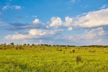 Mavi bulutların altındaki yeşil alan. Güzellik doğası