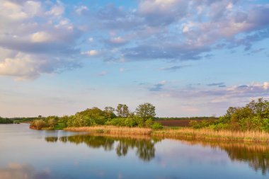 Yazın gün batımında güzel nehir kıyısında. Göl, yeşil ağaçlar ve çimenler ile renkli manzara, mavi gökyüzü çok renkli bulutlar ve suya yansıyan turuncu güneş ışığı. Doğa. Canlı bir manzara.