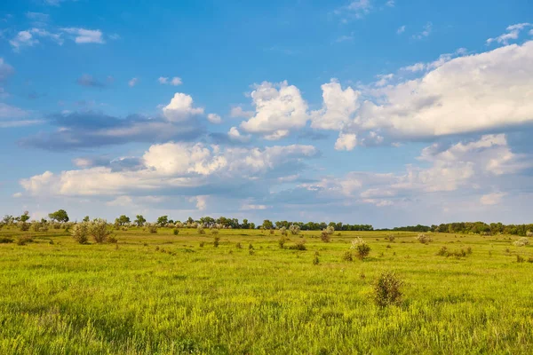 Mavi bulutların altındaki yeşil alan. Güzellik doğası