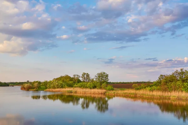 Yazın gün batımında güzel nehir kıyısında. Göl, yeşil ağaçlar ve çimenler ile renkli manzara, mavi gökyüzü çok renkli bulutlar ve suya yansıyan turuncu güneş ışığı. Doğa. Canlı bir manzara.
