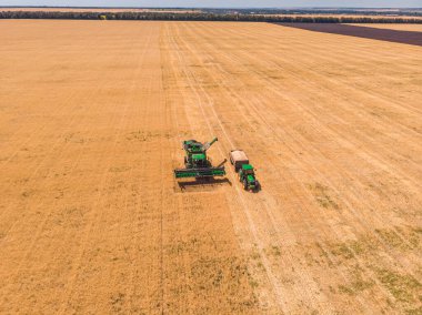 Buğday tarlasında hasat makinesinin hava görüntüsü. Tarımsal tema endüstriyel geçmişi. İşinizi denetlemek için dronları kullanın.
