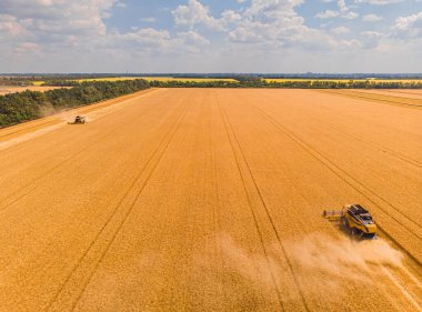 Buğday tarlasında hasat makinesini birleştirin. Günbatımında buğday hasadının uçan dronundan mükemmel bir yaz manzarası. Ukrayna, Avrupa 'da resimli kırsal manzara.