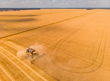 Buğday tarlasında hasat makinesini birleştirin. Günbatımında buğday hasadının uçan dronundan mükemmel bir yaz manzarası. Ukrayna, Avrupa 'da resimli kırsal manzara.