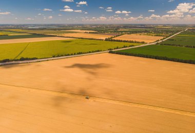 Yaz hasadının havadan görünüşü. Büyük tarlaları hasat eden hasatçıyı birleştirin. İHA görünümünden tarım.