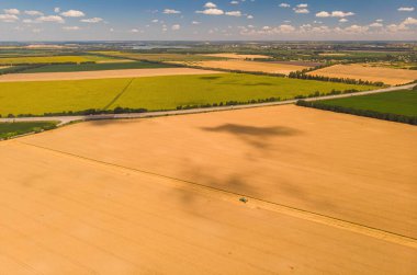 Buğday tarlasında hasat makinesini birleştirin. Günbatımında buğday hasadının uçan dronundan mükemmel bir yaz manzarası. Ukrayna, Avrupa 'da resimli kırsal manzara.