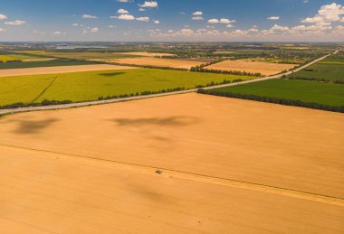 Tarlada çalışan hasat makinesi. İnsansız hava aracı hasat makinesinin en üst görüntüsü altın olgunlaşmış buğday tarlasında geziniyor..