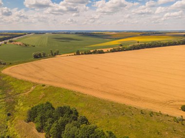 Yukarıdan renkli tarlalar. Ayçiçeği, buğday, çavdar ve mısır. Tarım geçmişi
