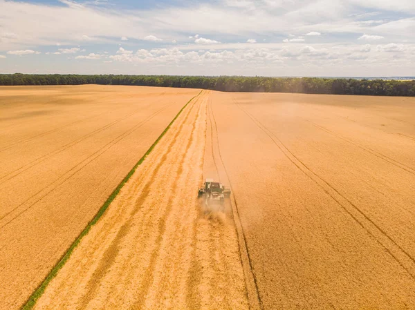 Aerial view of summer harvest. Combine harvester harvesting large field. Agriculture from drone view.