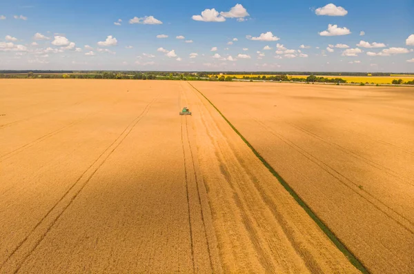 Aerial view of summer harvest. Combine harvester harvesting large field. Agriculture from drone view.