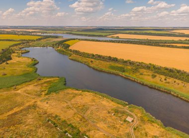 Nehir ve ormanın olduğu buğday tarlalarına güzel bir manzara, drone manzarası