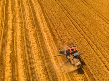 Buğday tarlasında hasat makinesini birleştirin. Günbatımında buğday hasadının uçan dronundan mükemmel bir yaz manzarası. Ukrayna, Avrupa 'da resimli kırsal manzara.