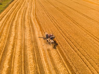 Buğday tarlasında hasat makinesini birleştirin. Günbatımında buğday hasadının uçan dronundan mükemmel bir yaz manzarası. Ukrayna, Avrupa 'da resimli kırsal manzara.