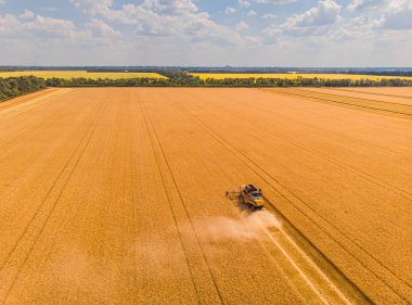 Yaz hasadının havadan görünüşü. Büyük tarlaları hasat eden hasatçıyı birleştirin. İHA görünümünden tarım.