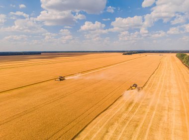 Yaz hasadının havadan görünüşü. Büyük tarlaları hasat eden hasatçıyı birleştirin. İHA görünümünden tarım.