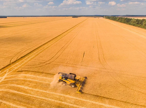 Harvesting machine working in the field. Top view from the drone Combine harvester agricultural machine ride in the field of golden ripe wheat.