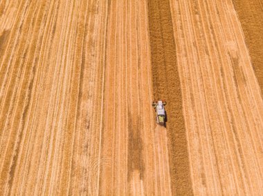 Tarlada çalışan hasat makinesi. Buğday tarlasını hasat eden ekin biçme makinesini birleştirin. Tarım. Hava görüntüsü. Yukarıdan.