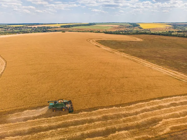 Harvesting machine working in the field. Top view from the drone Combine harvester agricultural machine ride in the field of golden ripe wheat.