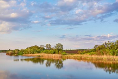 Yazın gün batımında güzel nehir kıyısında. Göl, yeşil ağaçlar ve çimenler ile renkli manzara, mavi gökyüzü çok renkli bulutlar ve suya yansıyan turuncu güneş ışığı. Doğa. Canlı bir manzara.