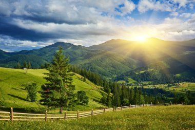 Alplerde yeşil çayırlar, çiçek açan çiçekler ve arka planda karla kaplı dağ tepeleri olan Idyllic manzarası.