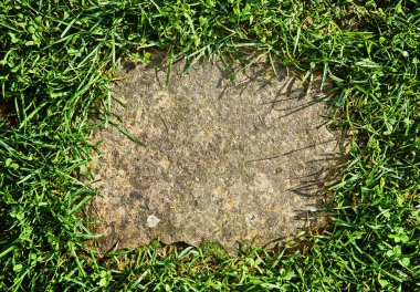 Doğal çerçeve, yeşil çimlerle çevrili kaldırım taşları. Kolaj için fotoğraf