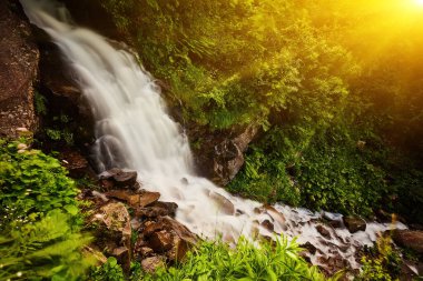 Ormanda hızlı dağ deresi, dağlarda yaz mevsimi