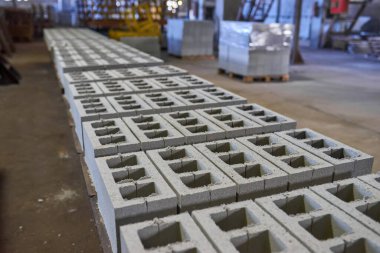 Baskılı çimento harcından endüstriyel yapı malzemeleri üretimi. Yüksek kalite beton blok ya da beton tuğla. Baskıdan sonra paletlerin üzerine istiflenmiş bitmiş ürünler.