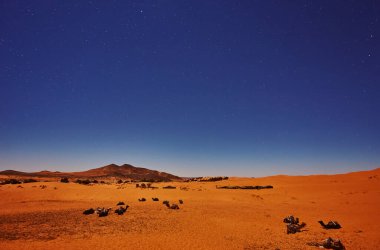 Fas 'ta, Sahara çölünde, yıldızlı gökyüzünün altında uyuyan develer..