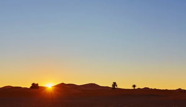 Песчаные Дюны Пустыне Сахара Мерзуга Марокко — стоковое фото
