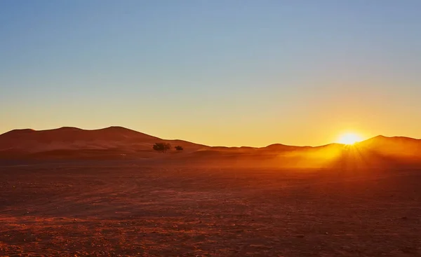 Beautiful Sand Dunes Sahara Desert Merzouga Morocco — Stock Photo, Image