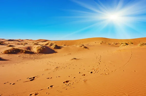 Beautiful Sand Dunes Sahara Desert Merzouga Morocco — Stock Photo, Image