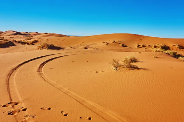 Piaszczyste Wydmy Saharze Merzouga Maroko — Zdjęcie stockowe