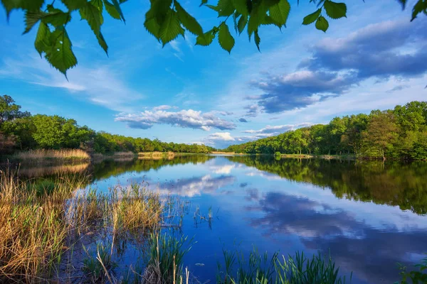 Берег Реки Закате Летом Красочный Пейзаж Озером Зелеными Деревьями Травой — стоковое фото