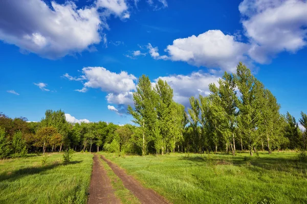Летний Пейзаж Зеленой Травой Дорогой Облаками — стоковое фото