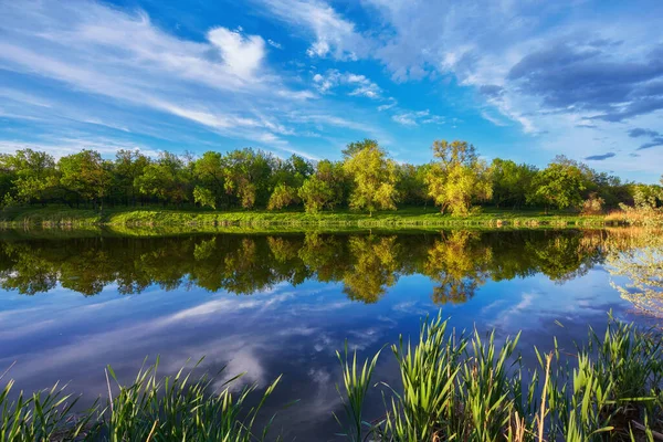 Yazın gün batımında güzel nehir kıyısında. Göl, yeşil ağaçlar ve çimenler ile renkli manzara, mavi gökyüzü çok renkli bulutlar ve suya yansıyan turuncu güneş ışığı. Doğa. Canlı bir manzara.