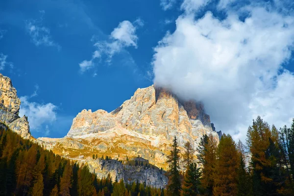 Splendido Paesaggio Alpino Sautumn Giornata Sole Prato Strada Alpina Montagne — Foto Stock