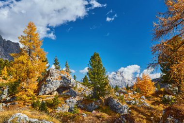 Sonbahar sabahı Dolomitler dağ manzarası. Barışçıl Valparola Yolu Manzarası, Belluno, İtalya. Resimli seyahat, mevsimlik ve doğa güzelliği konsepti..