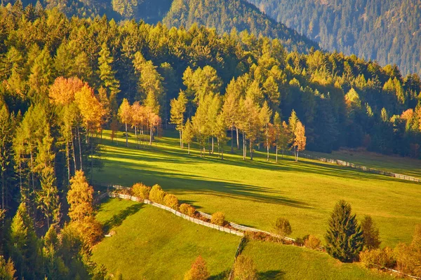 Úžasná Podzimní Scenérie Vesnici Santa Maddalena Kostelem Pestrobarevnými Stromy Loukami — Stock fotografie