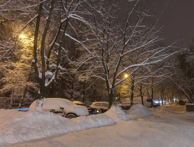 Winter park beyaz karla kaplı. Donetsk. Ukrayna.