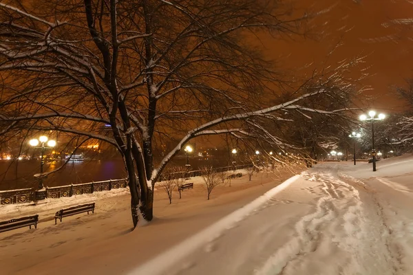 Прикрасити зимових міський парк в Донецьку. Україна — стокове фото