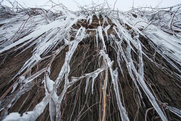 Long Icicles — Stock Photo, Image