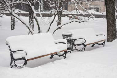 Kış city Park banklar