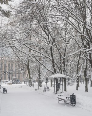 Winter park beyaz karla kaplı. Donetsk. Ukrayna.