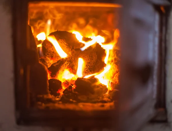 Герб пламени на горящем дереве — стоковое фото