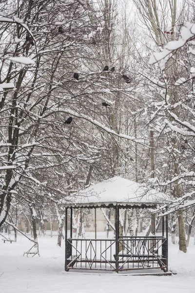 Parque de invierno cubierto de nieve blanca — Foto de Stock