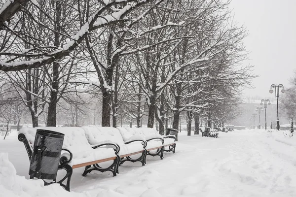 Зимний парк покрыт белым снегом. Донецк. Украина . — стоковое фото