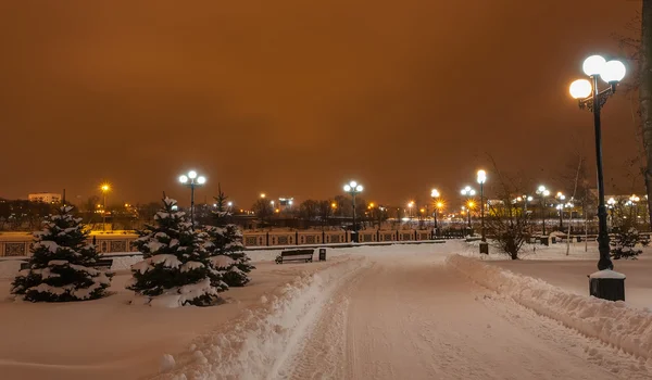 Parco urbano invernale decorato a Donetsk. Ucraina — Foto Stock