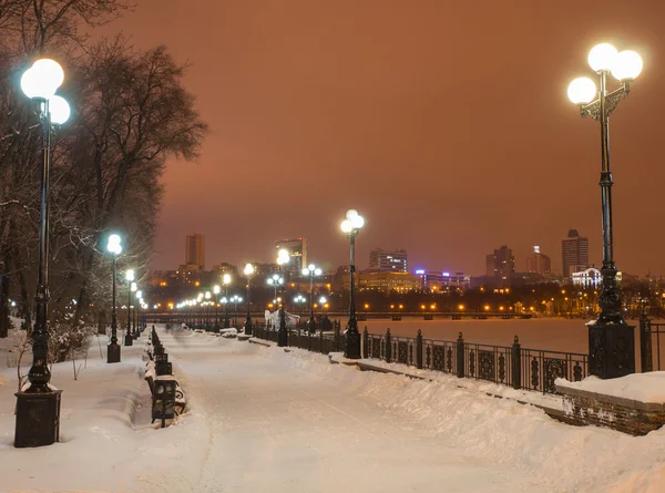 Inredda vintern stadsparken i Donetsk. Ukraina — Stockfoto