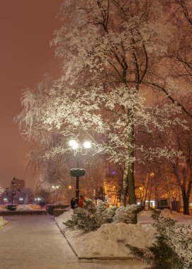 Akşamları karla kaplı kış parkı