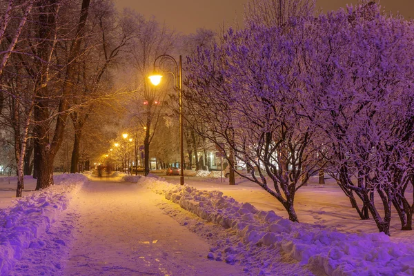 Dekorierter Winterstadtpark in Donezk. Ukraine — Stockfoto